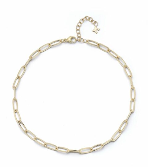 Women’S MATEO  | 14Kt Paperclip Chain Anklet